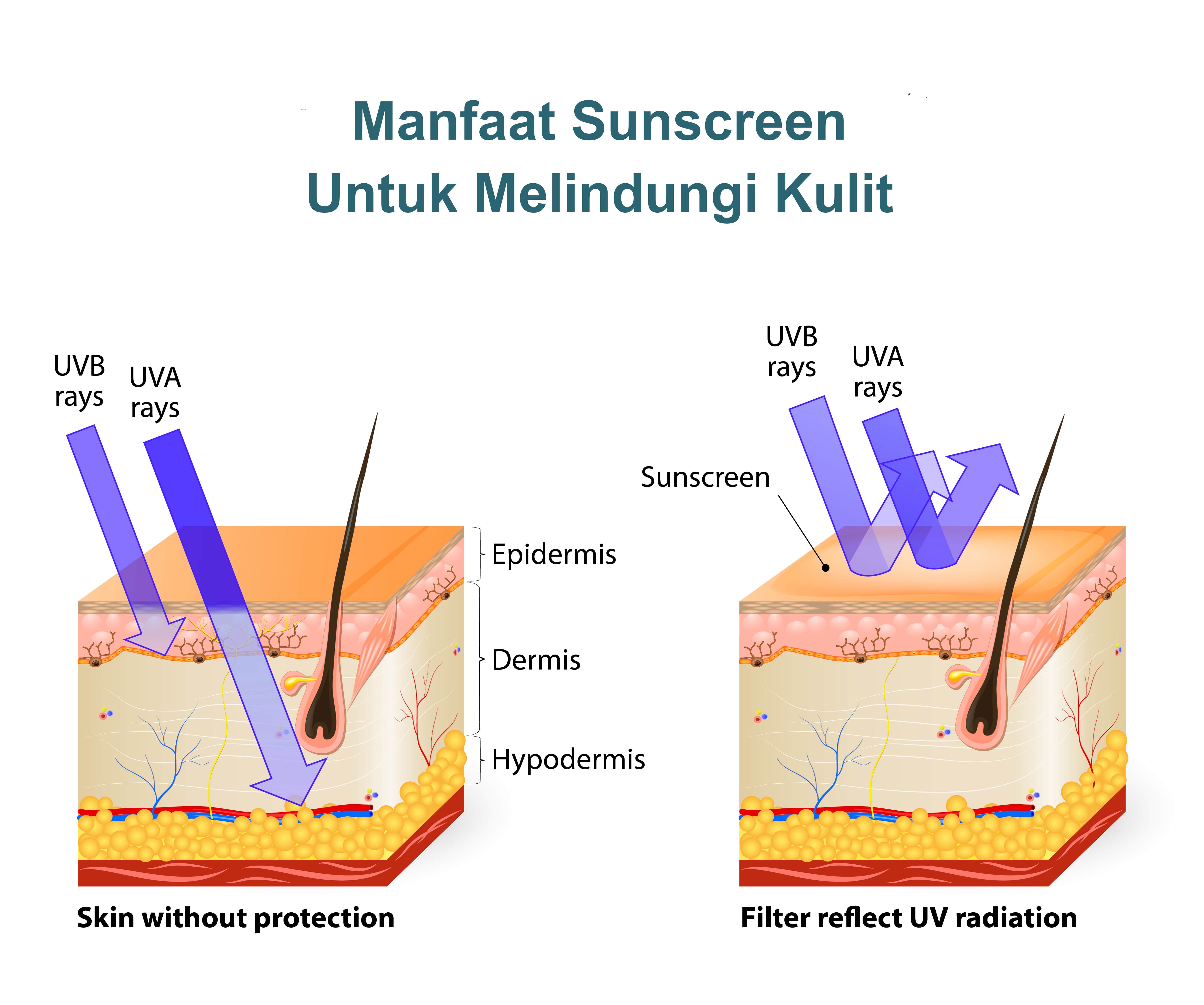 manfaat sunscreen untuk melindungi kulit
